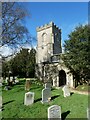 St Nicholas, Baydon: mid February 2024