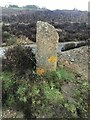 Old Boundary Marker in the Poldice Valley