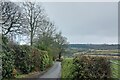 Woodhouse Lane taking the East Devon Way down to Uplyme