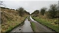 Looking along old abandoned railway line East of Elslack