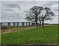 Warehouse at the Leicester Commercial Park