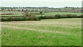 Ridge and furrow west of Long Compton