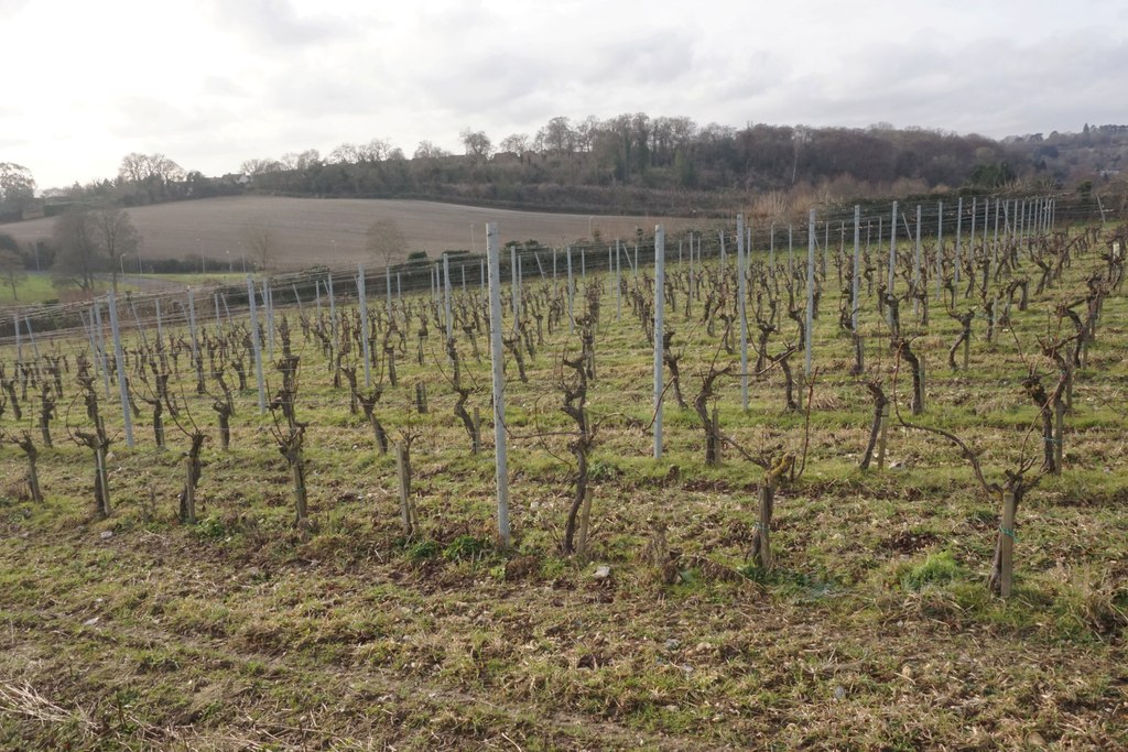 Marlow winery © Bill Boaden :: Geograph Britain and Ireland