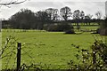 Low Weald farmland