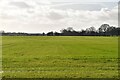 Low Weald landscape