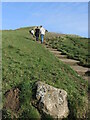 Rock by the path to the Tor