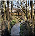 Lubbesthorpe Brook in the Osiers Nature Area