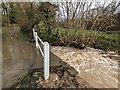 Flow out of the ford at Coundmoor Brook