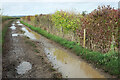 Footpath from Long Compton