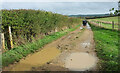 Footpath to Long Compton