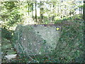 Stone stile from small wood to track near Chavenage Lane GS9361