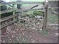 ST8695 : Stone stile, step over wall near Chavenage Green GS9364 by Hugh Tarran