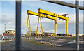 J3575 : Cranes, Belfast by Rossographer