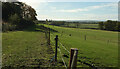 SP2844 : Pasture near Idlicote by Derek Harper