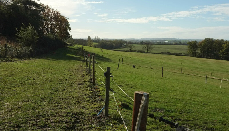 Pasture Near Idlicote © Derek Harper :: Geograph Britain And Ireland