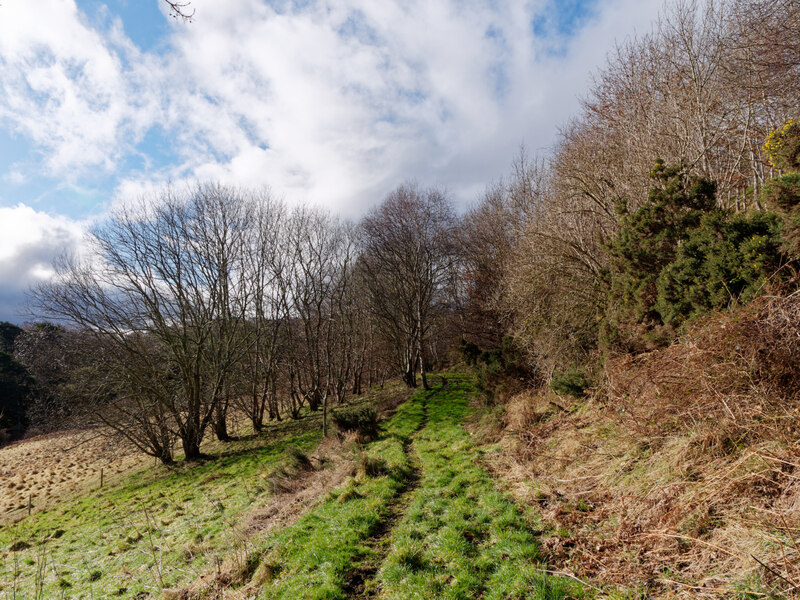 Looking up the path leading to the... © Julian Paren :: Geograph ...