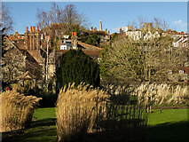 TQ4109 : Lewes : Southover Grange Gardens by Jim Osley