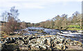 NY8928 : River Tees between High Force and Low Force by Trevor Littlewood