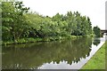 Bridgewater Canal