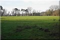 Field on the Thames flood plain