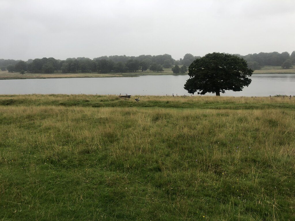 Melchett Mere, Tatton Park © Eirian Evans :: Geograph Britain and Ireland