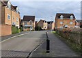 Goodheart Way in Thorpe Astley