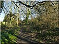 Path into Hawthorn Park