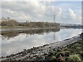 River Tyne downstream of Blaydon Burn