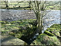 SD8062 : Confluence of Tems Beck and the River Ribble by Christine Johnstone