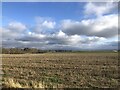 Stubble near Courthill