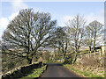 Minor road below Carr Brow Pastures