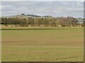 Between Wormerlaw and Harpertoun