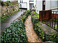 A tributary of the River Umber surging through Combe Martin