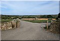 A new lane at Rayle Farm