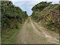 The bridleway path becomes a farm track