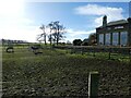 Donkey paddock at Dukesfield