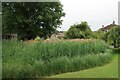 TL3967 : Reedy pond, Longstanton by Hugh Venables