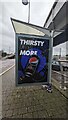 Pepsi Max advert