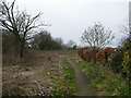 Path and waste ground off Cumberland Drive