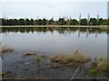 Pond (or flooded field) north of Waplington Lane