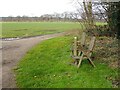 Bench beside footpath