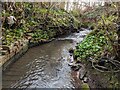 Afon Goch