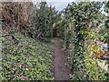 Public footpath to Ruabon