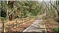 Shared use path beside Castle Lane