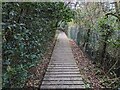 Footpath boardwalk