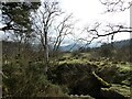 View to the east from a lane above Carno