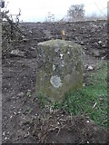 NT0971 : Old canal milestone by Chris Minto