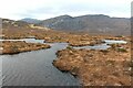 NC5449 : Bog pools, looking towards Carn a' Mhadaidh by Alan Reid