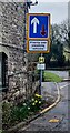 SO5509 : Daffodils below a traffic sign in Newland, Gloucestershire by Jaggery