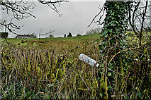 H4963 : Bottle in a hedge, Seskinore by Kenneth  Allen
